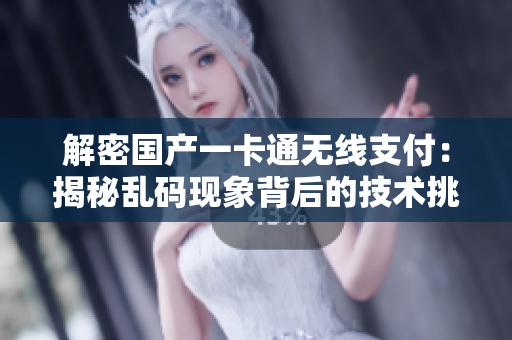 解密國產(chǎn)一卡通無線支付：揭秘亂碼現(xiàn)象背后的技術(shù)挑戰(zhàn)與解決方案