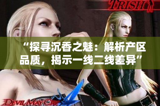 “探尋沉香之魅：解析產(chǎn)區(qū)品質(zhì)，揭示一線二線差異”