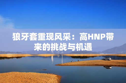 狼牙套重現(xiàn)風(fēng)采：高HNP帶來的挑戰(zhàn)與機(jī)遇