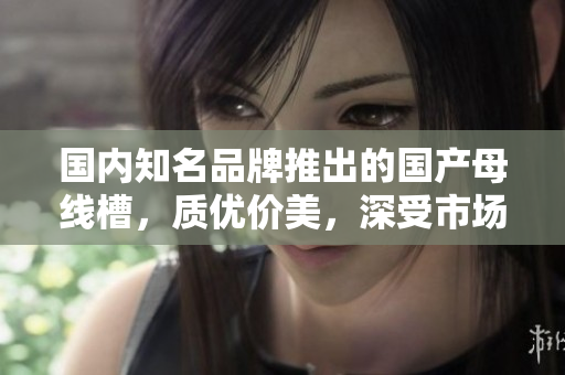 國內(nèi)知名品牌推出的國產(chǎn)母線槽，質(zhì)優(yōu)價(jià)美，深受市場青睞