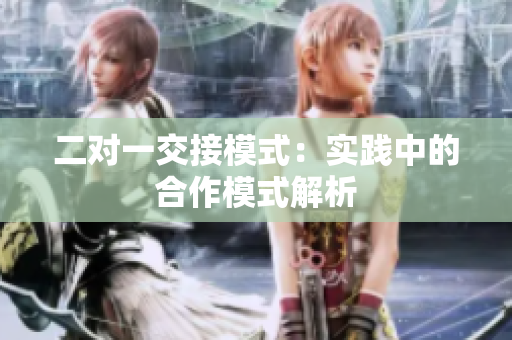 二對一交接模式：實踐中的合作模式解析