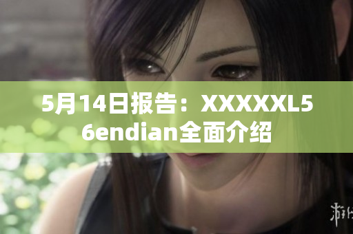 5月14日?qǐng)?bào)告：XXXXXL56endian全面介紹