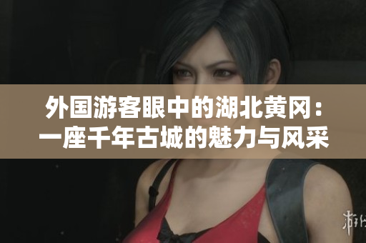 外國游客眼中的湖北黃岡：一座千年古城的魅力與風采