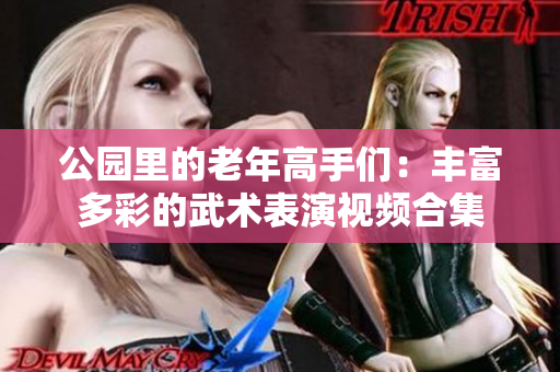 公園里的老年高手們：豐富多彩的武術(shù)表演視頻合集
