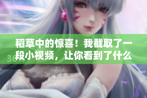 稻草中的驚喜！我截取了一段小視頻，讓你看到了什么？