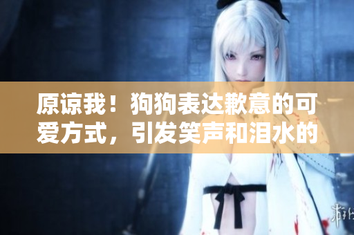 原諒我！狗狗表達歉意的可愛方式，引發(fā)笑聲和淚水的有趣時刻