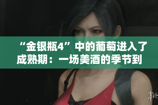 “金銀瓶4”中的葡萄進(jìn)入了成熟期：一場(chǎng)美酒的季節(jié)到來(lái)了
