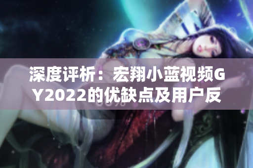 深度評析：宏翔小藍視頻GY2022的優(yōu)缺點及用戶反饋
