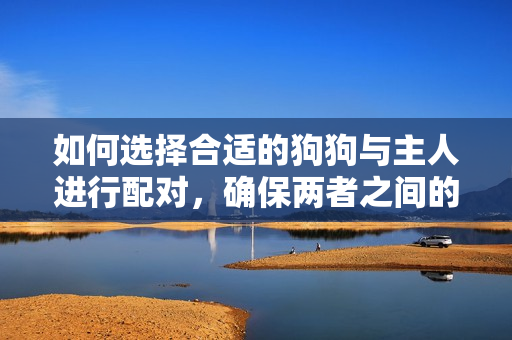 如何選擇合適的狗狗與主人進(jìn)行配對(duì)，確保兩者之間的和諧共處
