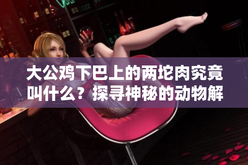 大公雞下巴上的兩坨肉究竟叫什么？探尋神秘的動(dòng)物解剖學(xué)