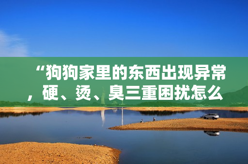 “狗狗家里的東西出現(xiàn)異常，硬、燙、臭三重困擾怎么解決？”