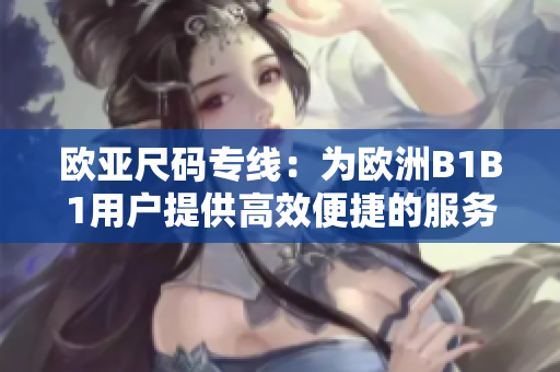歐亞尺碼專線：為歐洲B1B1用戶提供高效便捷的服務(wù)
