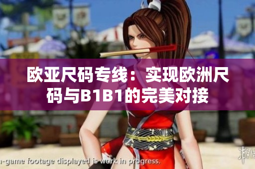 歐亞尺碼專線：實(shí)現(xiàn)歐洲尺碼與B1B1的完美對(duì)接