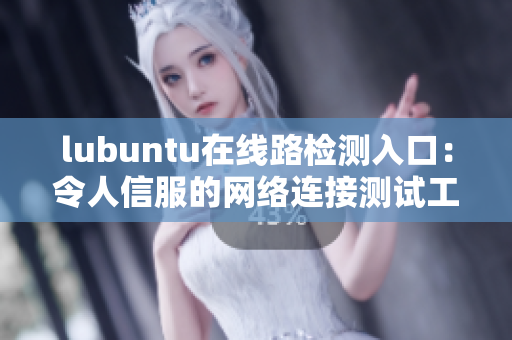 lubuntu在線路檢測入口：令人信服的網(wǎng)絡連接測試工具