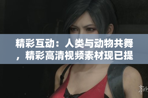 精彩互動(dòng)：人類與動(dòng)物共舞，精彩高清視頻素材現(xiàn)已提供下載