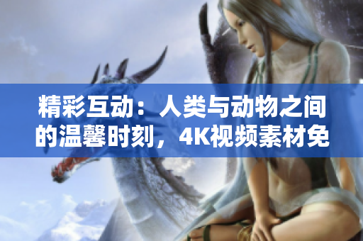 精彩互動(dòng)：人類與動(dòng)物之間的溫馨時(shí)刻，4K視頻素材免費(fèi)下載