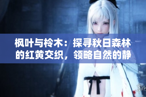 楓葉與柃木：探尋秋日森林的紅黃交織，領(lǐng)略自然的靜謐與美麗