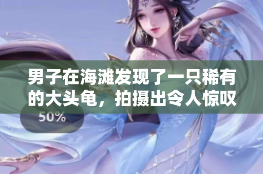 男子在海灘發(fā)現(xiàn)了一只稀有的大頭龜，拍攝出令人驚嘆的照片!