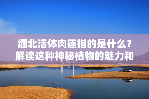 緬北活體肉蓮指的是什么？解讀這種神秘植物的魅力和文化內(nèi)涵
