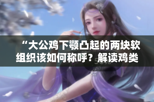 “大公雞下顎凸起的兩塊軟組織該如何稱呼？解讀雞類生物學(xué)”