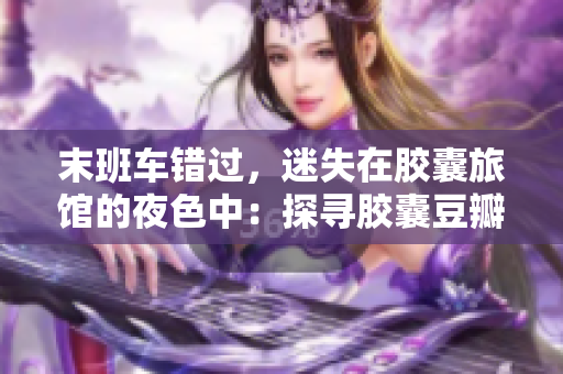 末班車錯(cuò)過(guò)，迷失在膠囊旅館的夜色中：探尋膠囊豆瓣的秘密