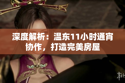 深度解析：溫東11小時通宵協(xié)作，打造完美房屋