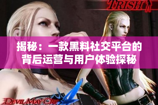 揭秘：一款黑料社交平臺(tái)的背后運(yùn)營與用戶體驗(yàn)探秘