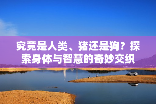 究竟是人類、豬還是狗？探索身體與智慧的奇妙交織