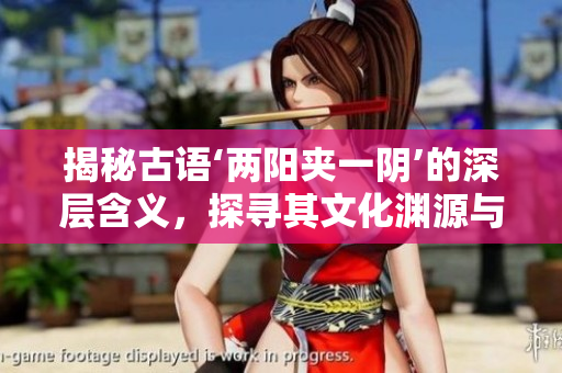 揭秘古語‘兩陽夾一陰’的深層含義，探尋其文化淵源與象征意義