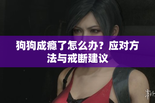 狗狗成癮了怎么辦？應(yīng)對(duì)方法與戒斷建議