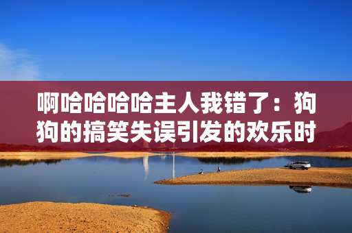 啊哈哈哈哈主人我錯了：狗狗的搞笑失誤引發(fā)的歡樂時刻