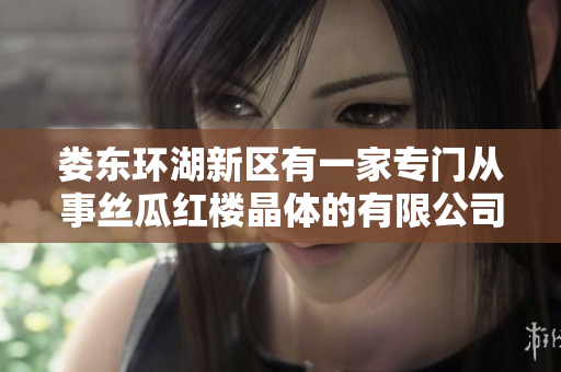 婁東環(huán)湖新區(qū)有一家專門從事絲瓜紅樓晶體的有限公司
