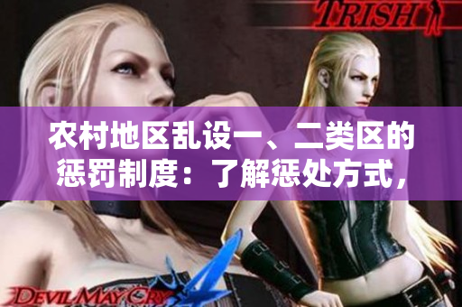 農(nóng)村地區(qū)亂設(shè)一、二類(lèi)區(qū)的懲罰制度：了解懲處方式，規(guī)范村莊建設(shè)
