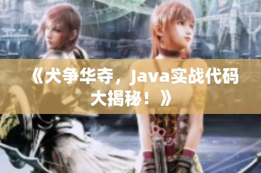 《犬爭(zhēng)華奪，Java實(shí)戰(zhàn)代碼大揭秘！》