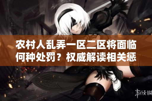 農(nóng)村人亂弄一區(qū)二區(qū)將面臨何種處罰？權威解讀相關懲戒政策