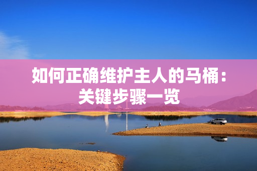 如何正確維護(hù)主人的馬桶：關(guān)鍵步驟一覽