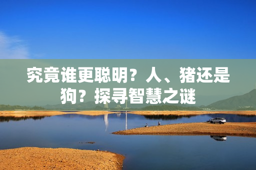 究竟誰(shuí)更聰明？人、豬還是狗？探尋智慧之謎