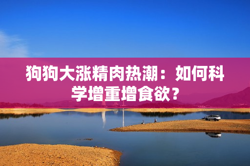 狗狗大漲精肉熱潮：如何科學(xué)增重增食欲？