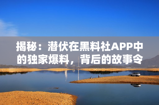 揭秘：潛伏在黑料社APP中的獨(dú)家爆料，背后的故事令人驚訝！