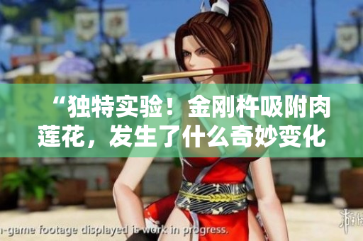 “獨(dú)特實(shí)驗(yàn)！金剛杵吸附肉蓮花，發(fā)生了什么奇妙變化？”