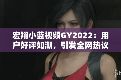 宏翔小藍(lán)視頻GY2022：用戶好評(píng)如潮，引發(fā)全網(wǎng)熱議！