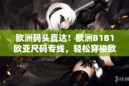 歐洲碼頭直達！歐洲B1B1歐亞尺碼專線，輕松穿梭歐亞，解決尺碼困擾！