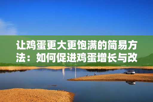 讓雞蛋更大更飽滿的簡易方法：如何促進雞蛋增長與改善品質(zhì)