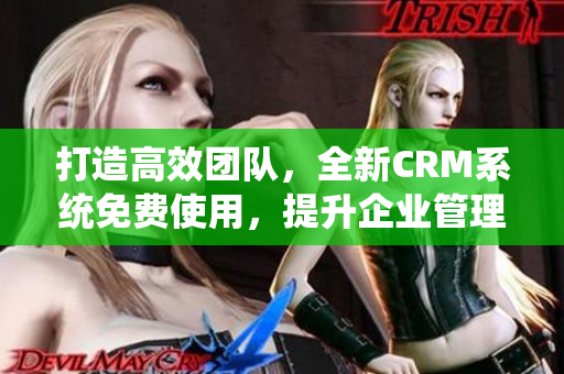 打造高效團(tuán)隊(duì)，全新CRM系統(tǒng)免費(fèi)使用，提升企業(yè)管理效率