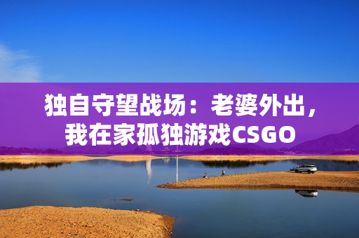 獨自守望戰(zhàn)場：老婆外出，我在家孤獨游戲CSGO