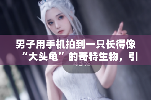 男子用手機(jī)拍到一只長得像“大頭龜”的奇特生物，引發(fā)熱議