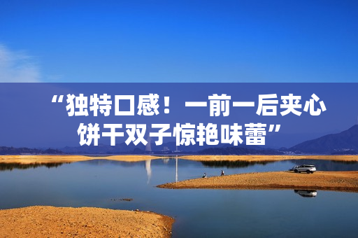 “獨(dú)特口感！一前一后夾心餅干雙子驚艷味蕾”