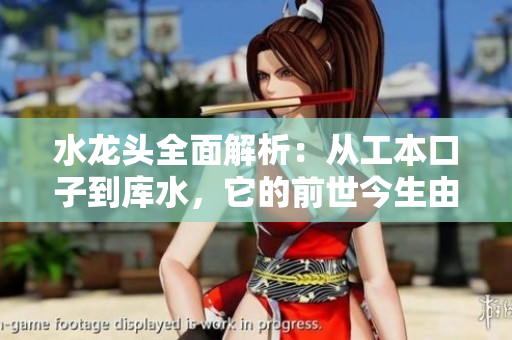 水龍頭全面解析：從工本口子到庫水，它的前世今生由來已久