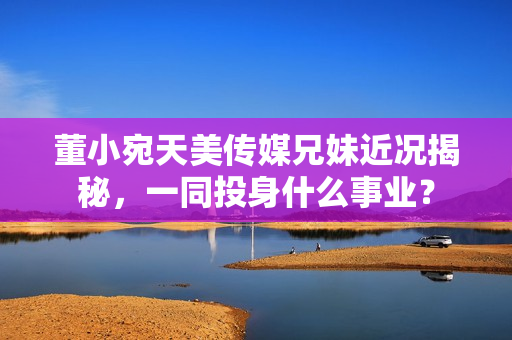 董小宛天美傳媒兄妹近況揭秘，一同投身什么事業(yè)？