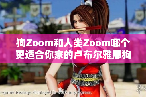 狗Zoom和人類Zoom哪個更適合你家的盧布爾雅那狗？